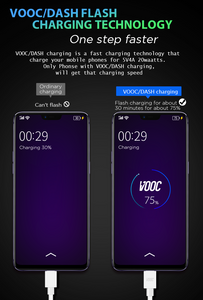 Technoamp VOOC/DASH Charging Power Bank 20000mAh 5V4A PBVC20